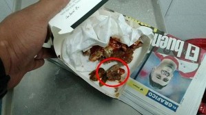 rata_mcdonals_mexico